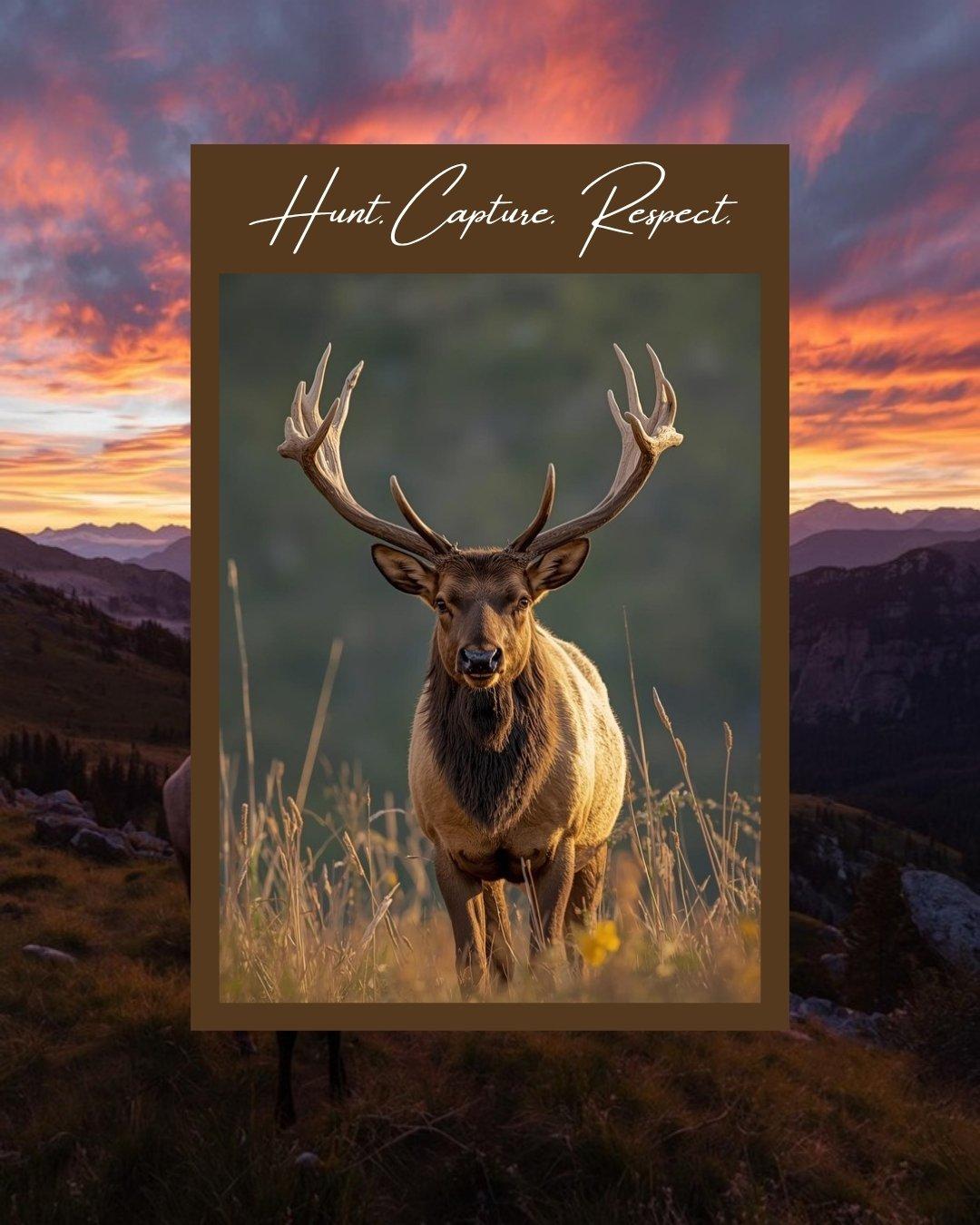 Pack of hunting hounds including Plott Hounds and Walker Coonhounds on trail in forest, trained bear hunting dogs