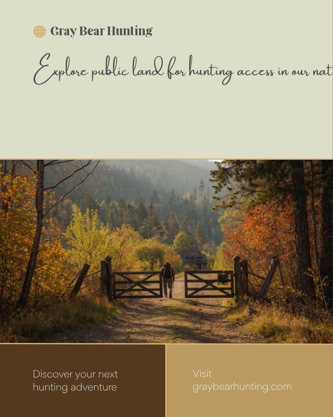 Large whitetail buck with impressive antlers standing alert in autumn forest with golden leaves during deer hunting season