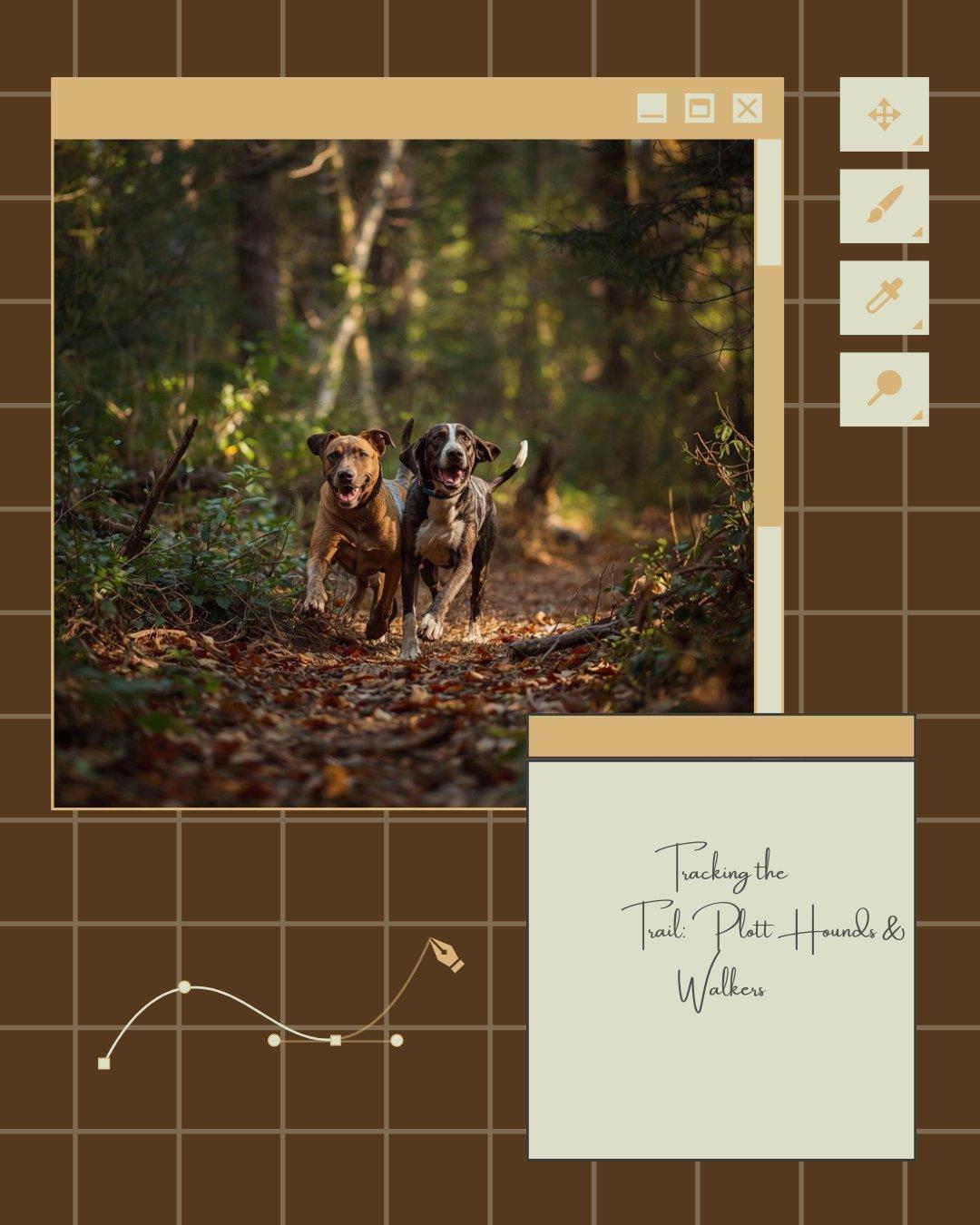 Rustic hunting lodge exterior at golden hour with mountains in the background, welcoming guests for guided hunts
